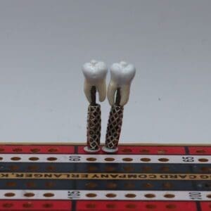 Human Tooth Cribbage Pegs