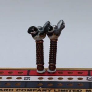 Black Capped Chickadee